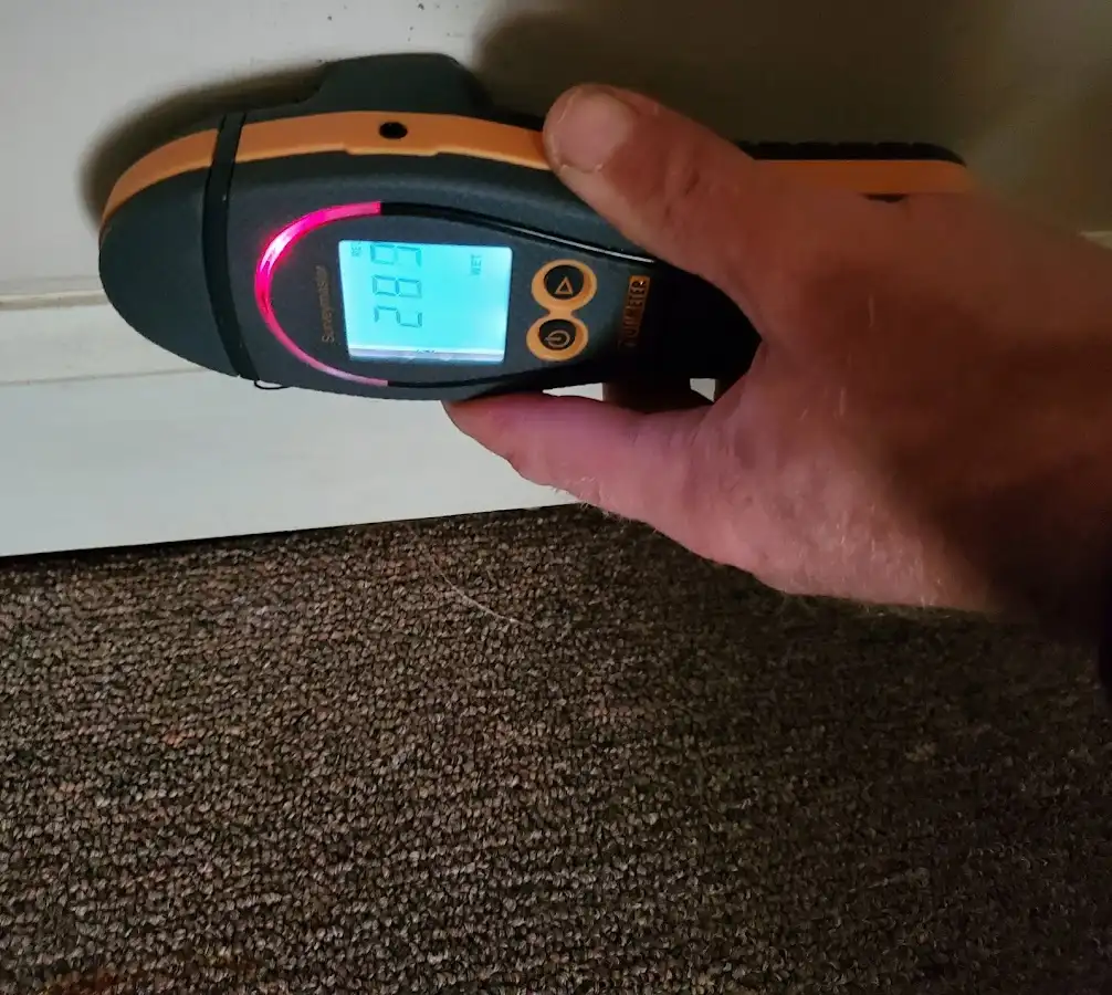 Moisture detection at baseboard during Sewage Cleanup & Sanitation in New Scotland